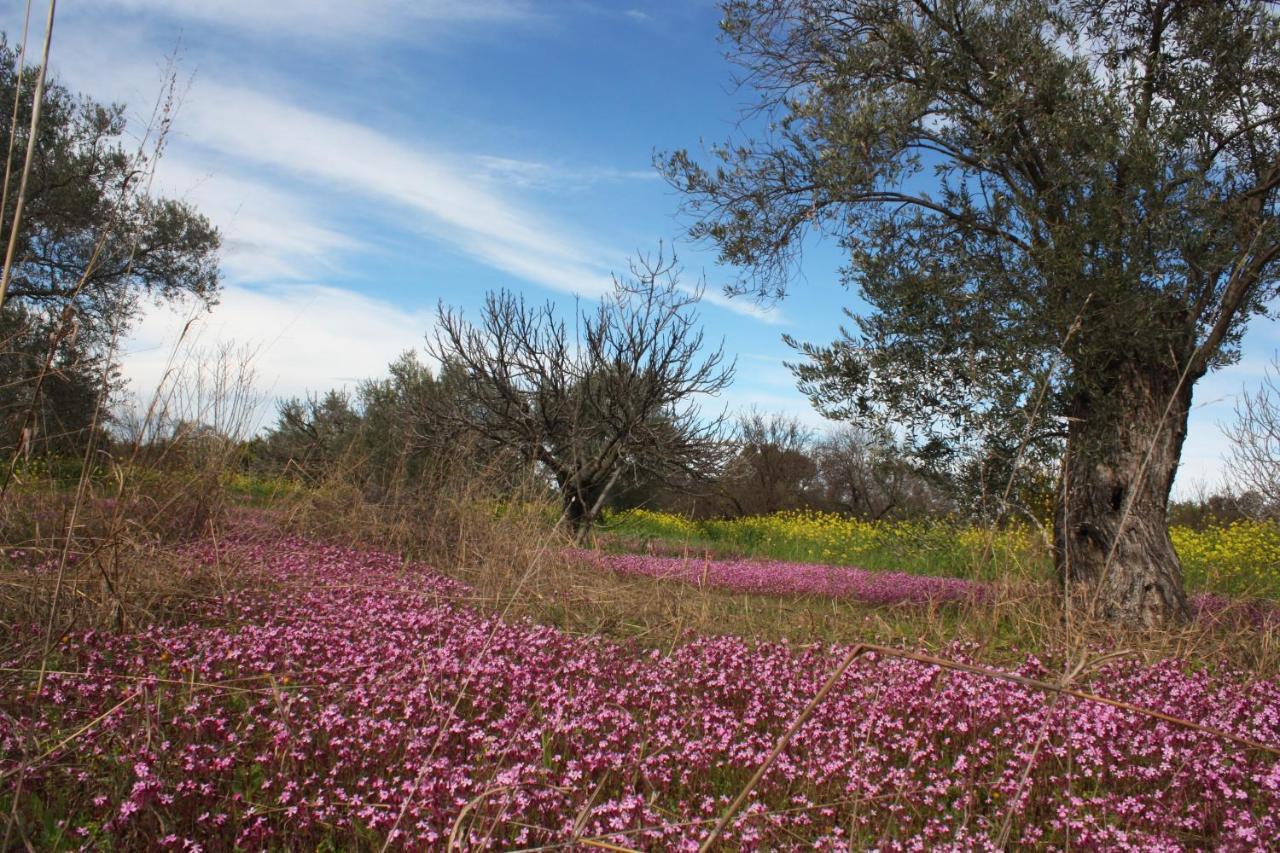 Aperanti Agrotourism Bed & Breakfast Pera Orinis Bagian luar foto