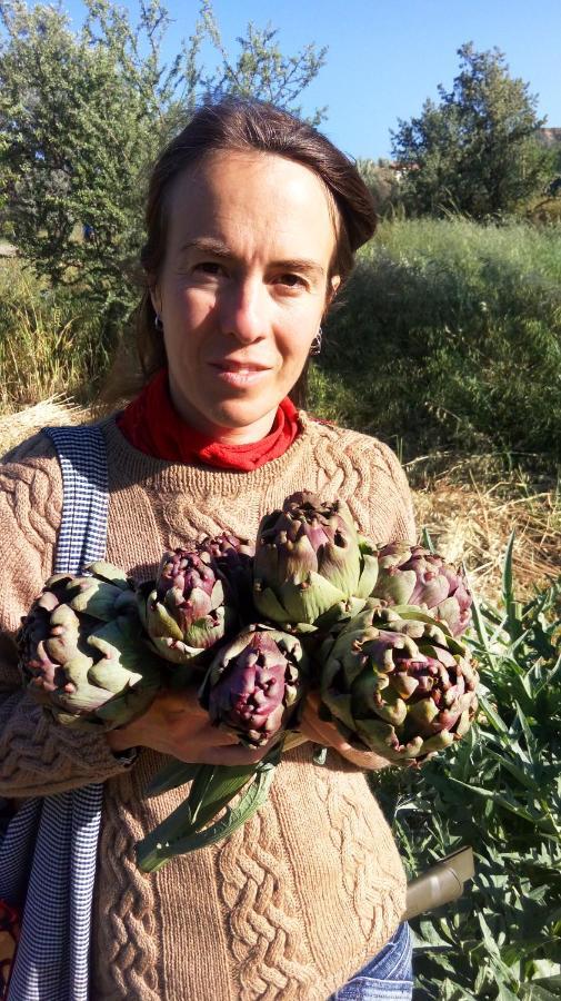 Aperanti Agrotourism Bed & Breakfast Pera Orinis Bagian luar foto